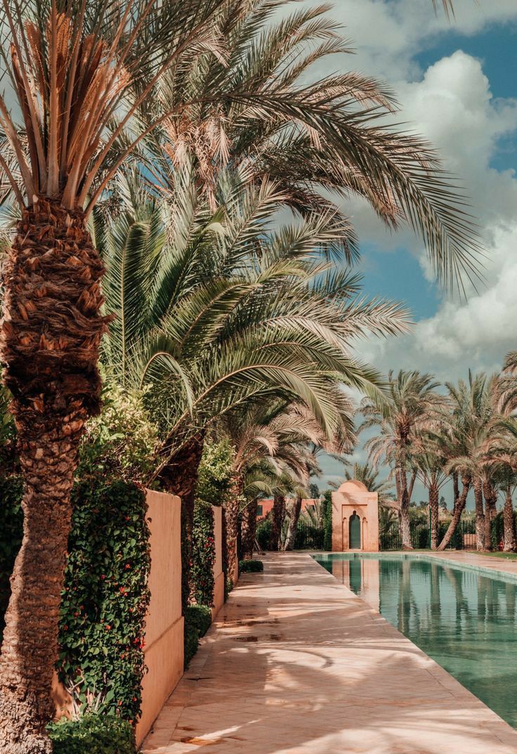 12e1fe1d1e73e633c6519554eb90785b