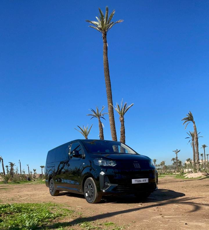 WhatsApp Image 2026-02-16 at 18.01.16 (2)