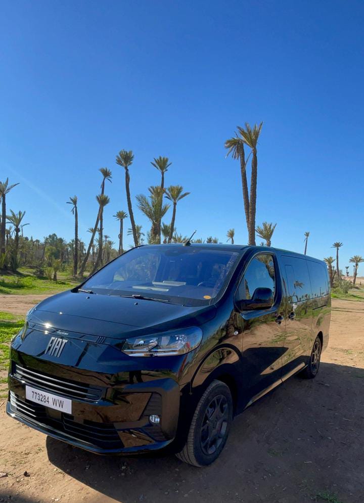 WhatsApp Image 2026-02-16 at 18.01.16 (3)