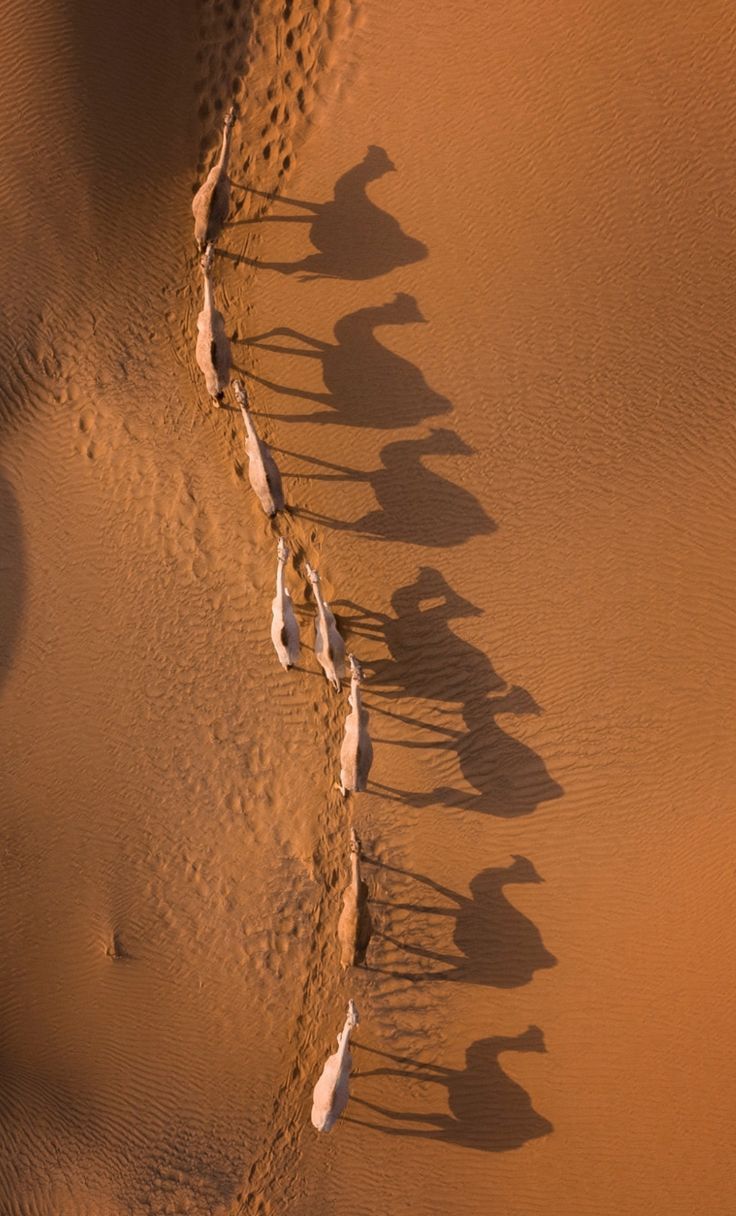 dc3c25f20b38cc17c9466a7ccba03d04 (1)